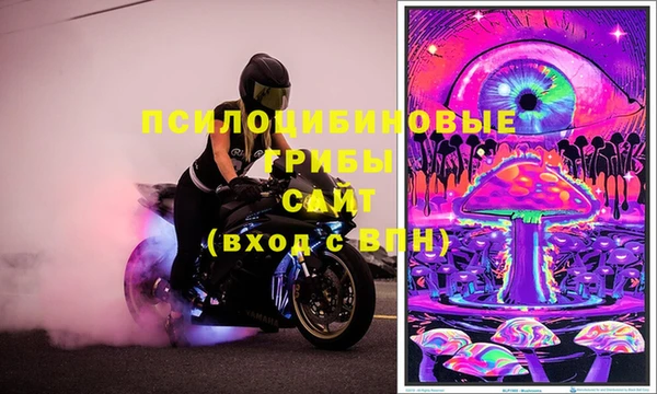 стафф Алзамай