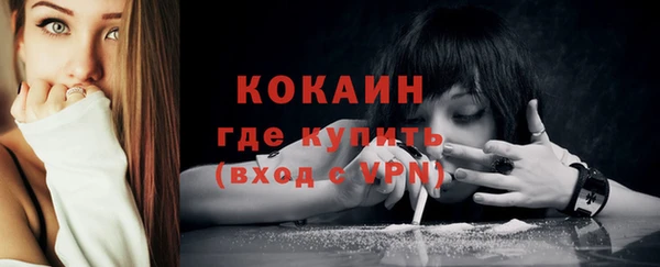 кокс Алексин