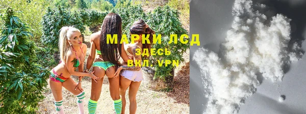 стафф Алзамай