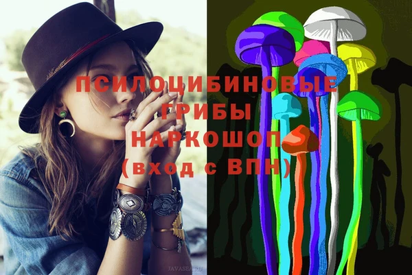 кокс Алексин