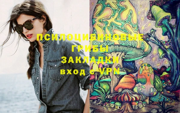 кокс Алексин