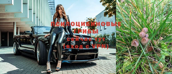 стафф Алзамай