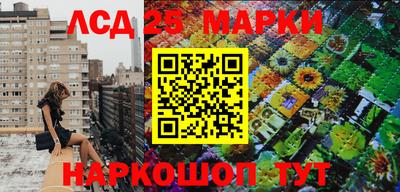 прущие грибы Балахна