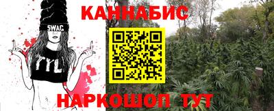 прущие грибы Балахна