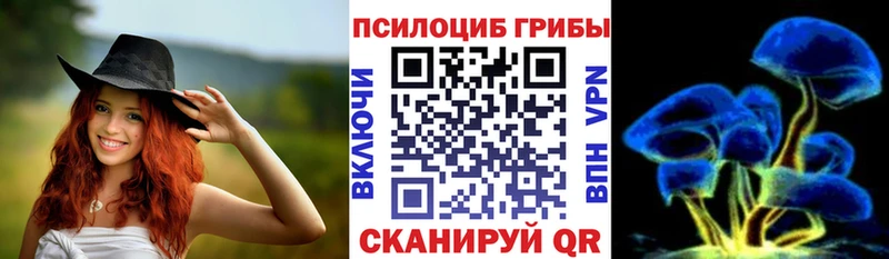Псилоцибиновые грибы Psilocybe  площадка официальный сайт  Воткинск 