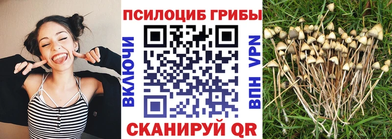 Галлюциногенные грибы мухоморы Воткинск